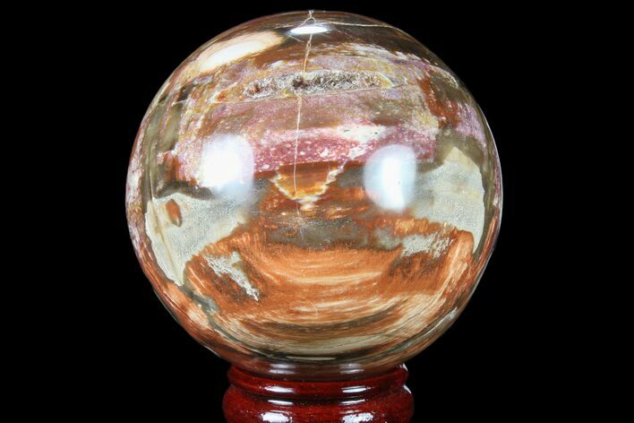 Colorful Petrified Wood Sphere - Madagascar #81544